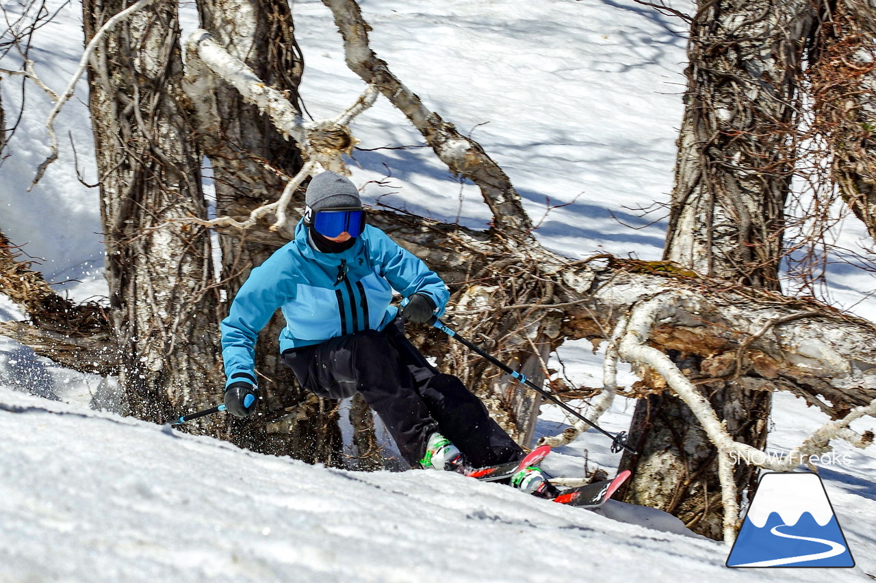 ニセコグラン・ヒラフ DYNASTAR SKI TEST RIDE DAYS Photo Session!!最高の天気に恵まれたニセコに、最高の仲間たちが集まりました☆